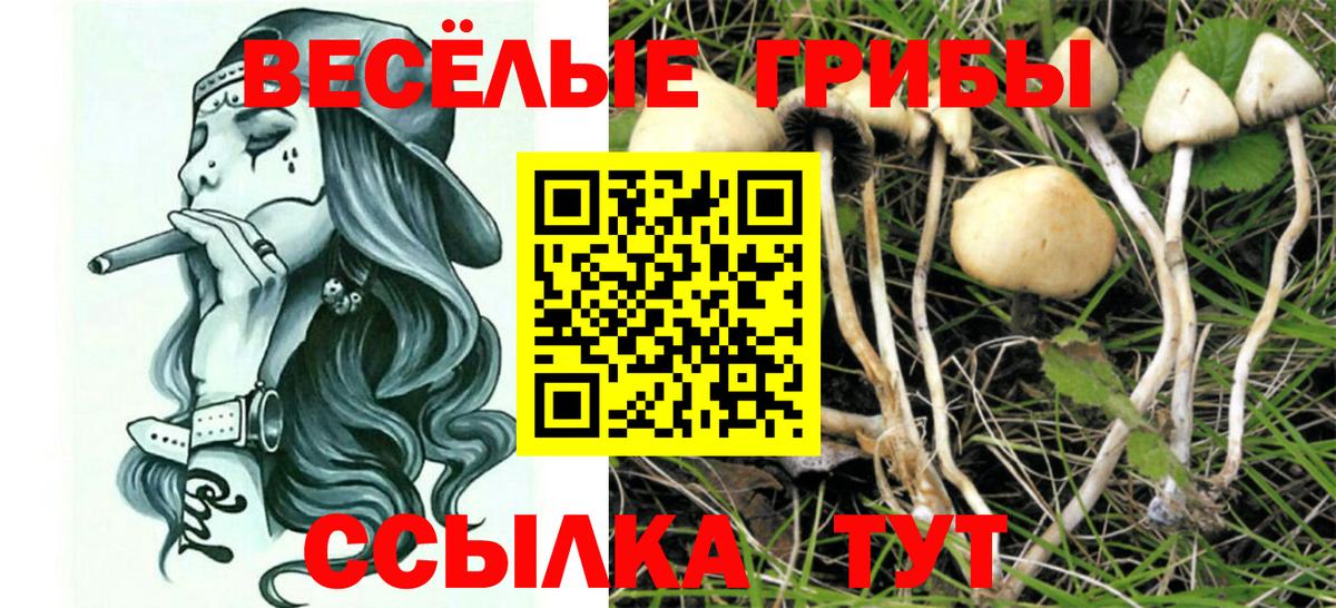 Галлюциногенные грибы ЛСД  Галлюциногенные грибы прущие грибы  Белово  Вход с VPN 