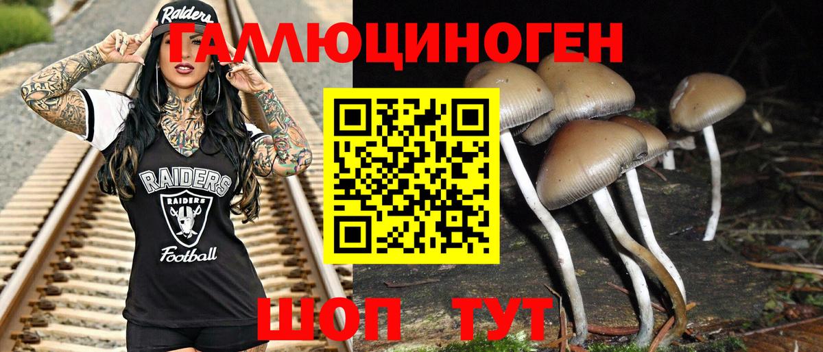 Псилоцибиновые грибы Magic Shrooms Белово